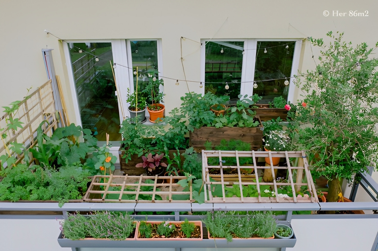 Hidroponik mini di ruang sempit rumah sebagai ide kreatif dan cuan-able &ndash; solusi cocok buat generasi urban kekinian!