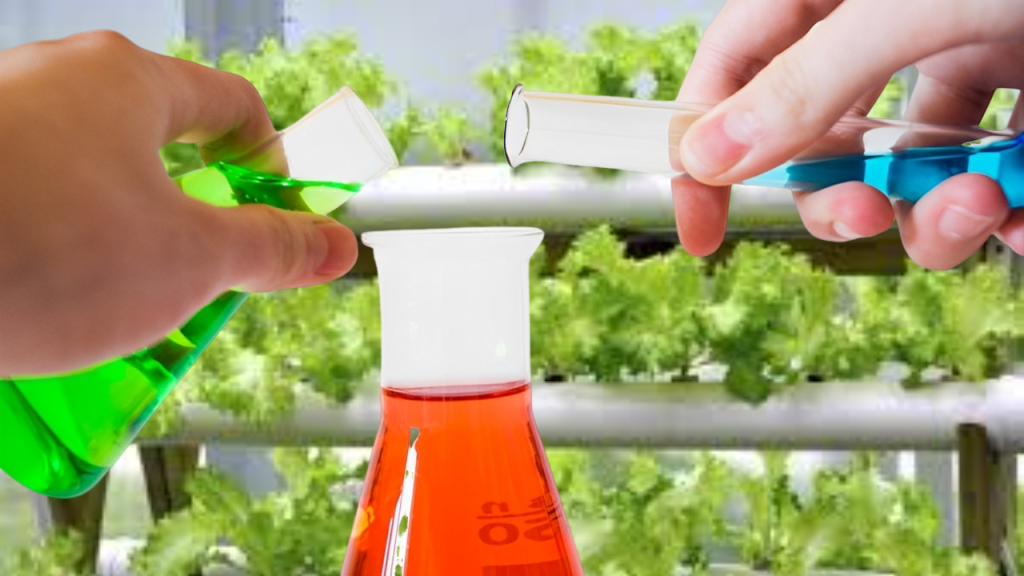 Tanaman hidroponik sehat dengan bantuan nutrisi AB mix &mdash; pahami kode rahasianya dengan EC dan pH meter. Yuk jadi detektif nutrisi!