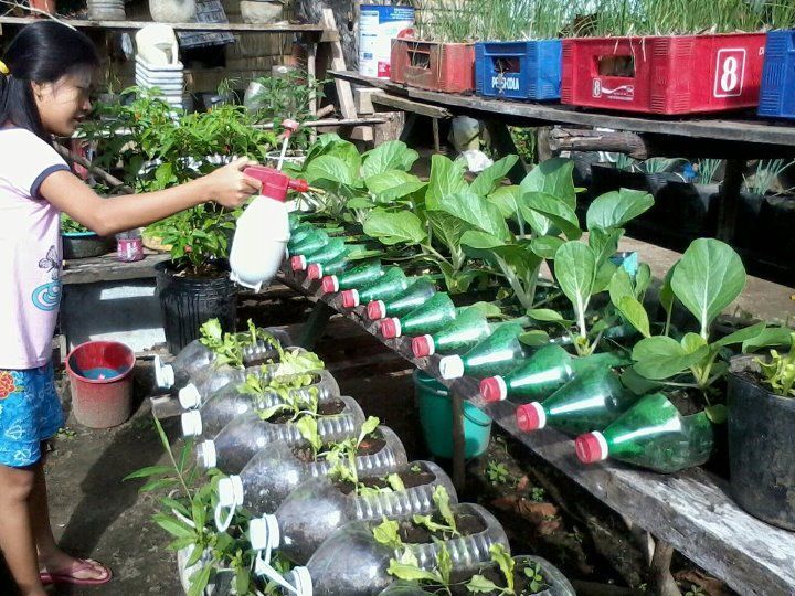 Sampah organik dapur diolah menjadi pupuk hidroponik zero waste &mdash; solusi cerdas nan hemat untuk tanaman subur dan berkelanjutan.