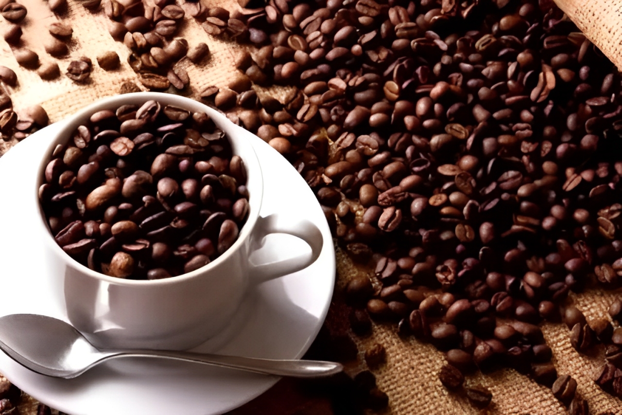 Yuk kenalan dengan 3 kopi terenak di dunia mulai dari Cafe Cubano hingga Espresso Freddo yang rasanya nagih. Simak info selengkapnya disini Cess!
