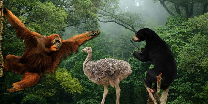 Spot wisata elite dengan fauna eksotis dan taman tropis. Cocok buat healing dan konten Instagram. Wisata satwa Kalimantan Timur yang estetik.