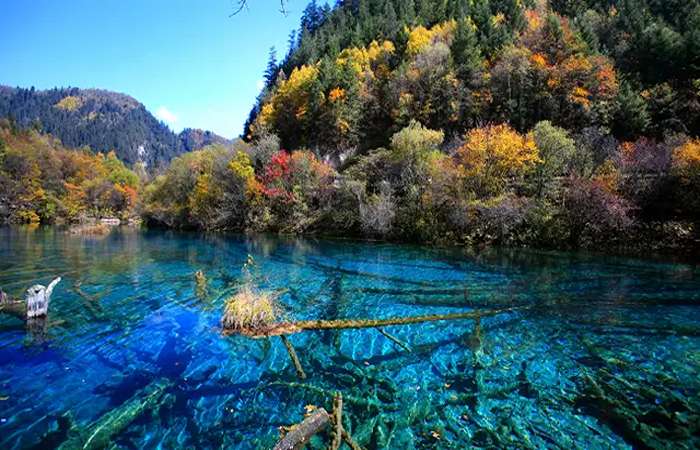 Pemandangan spektakuler Taman Nasional Jiuzhaigou dengan danau biru, pegunungan salju, dan pepohonan musim gugur. Cocok buat kamu pecinta alam sejati!