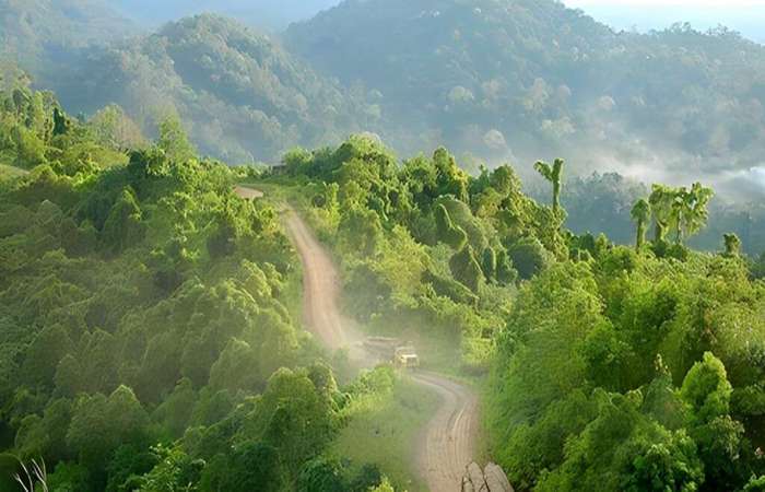 Gunung Lumut Kalimantan Timur yang menutupi tanah dan pohon unik, basah, dan bikin penasaran!
