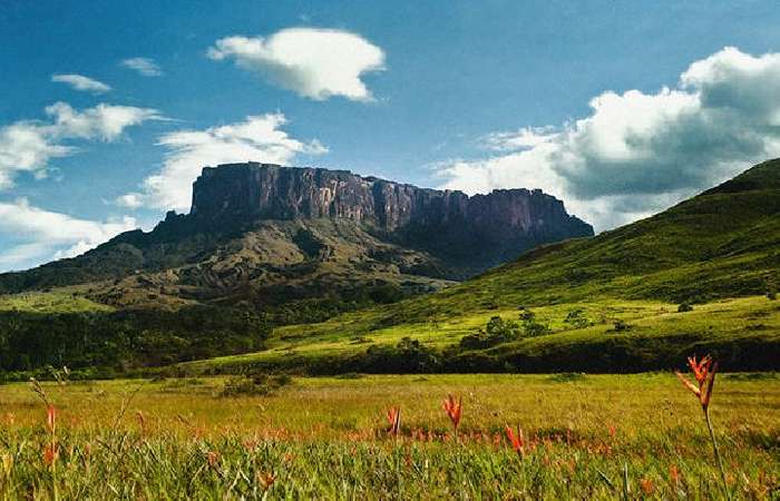 Gunung Roraima berdiri megah di perbatasan tiga negara, dengan puncak datar dan lanskap unik yang penuh misteri dan daya tarik.
