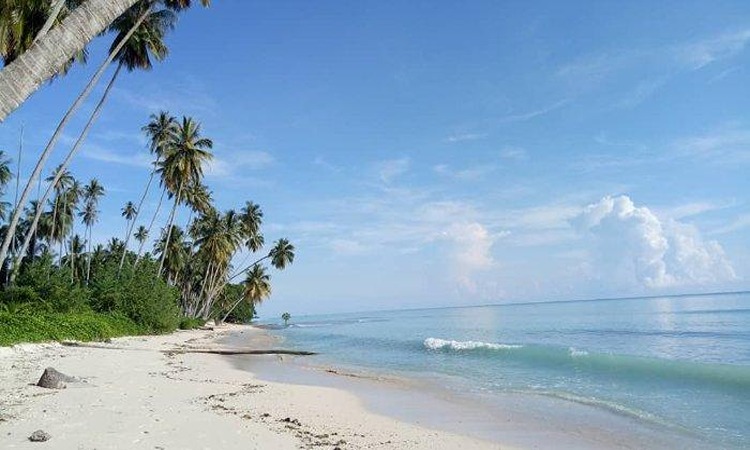 Pantai Biduk-Biduk, laut sebening kaca dan alam tropis yang bikin susah lupa!&rdquo;