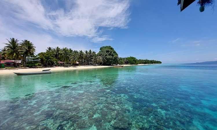 Pemandangan laut biru Teluk Sulaiman dengan pantai bersih dan hutan mangrove alami&mdash;potensi wisata bahari Kalimantan Timur yang masih tersembunyi dan penuh keyword eksplorasi alam.