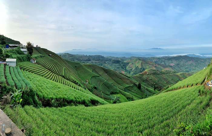 View Bukit Pelangi Sangatta yang hijau alami dan suasana hangat jadi destinasi wisata alam hits di Kalimantan Timur. Lihat pesonanya di sini!