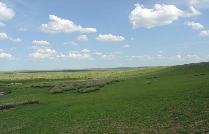 Padang rumput Mongolia.
