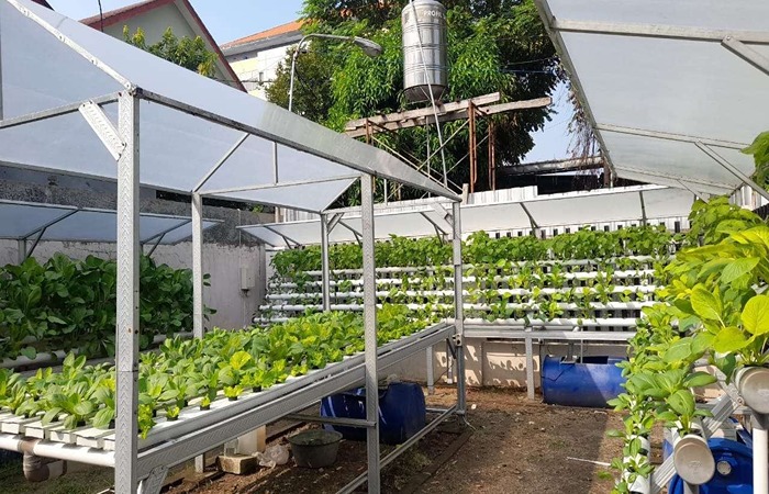 Ilustrasi metode urban farming di balkon sempit dengan sistem hidroponik dan wall garden, cocok untuk hidup sehat di tengah kota beton.