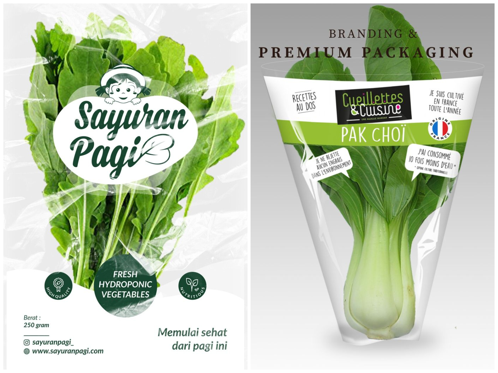 Kemasan Sayur Hidroponik