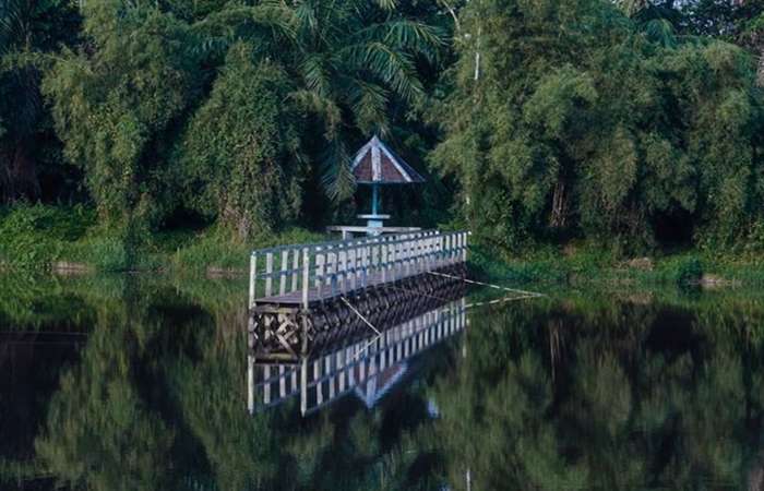 Aliran Sungai Wain yang jernih dan hutan tropis lebat jadi daya tarik utama wisata alam HLSW Balikpapan, destinasi wajib pecinta ekowisata.