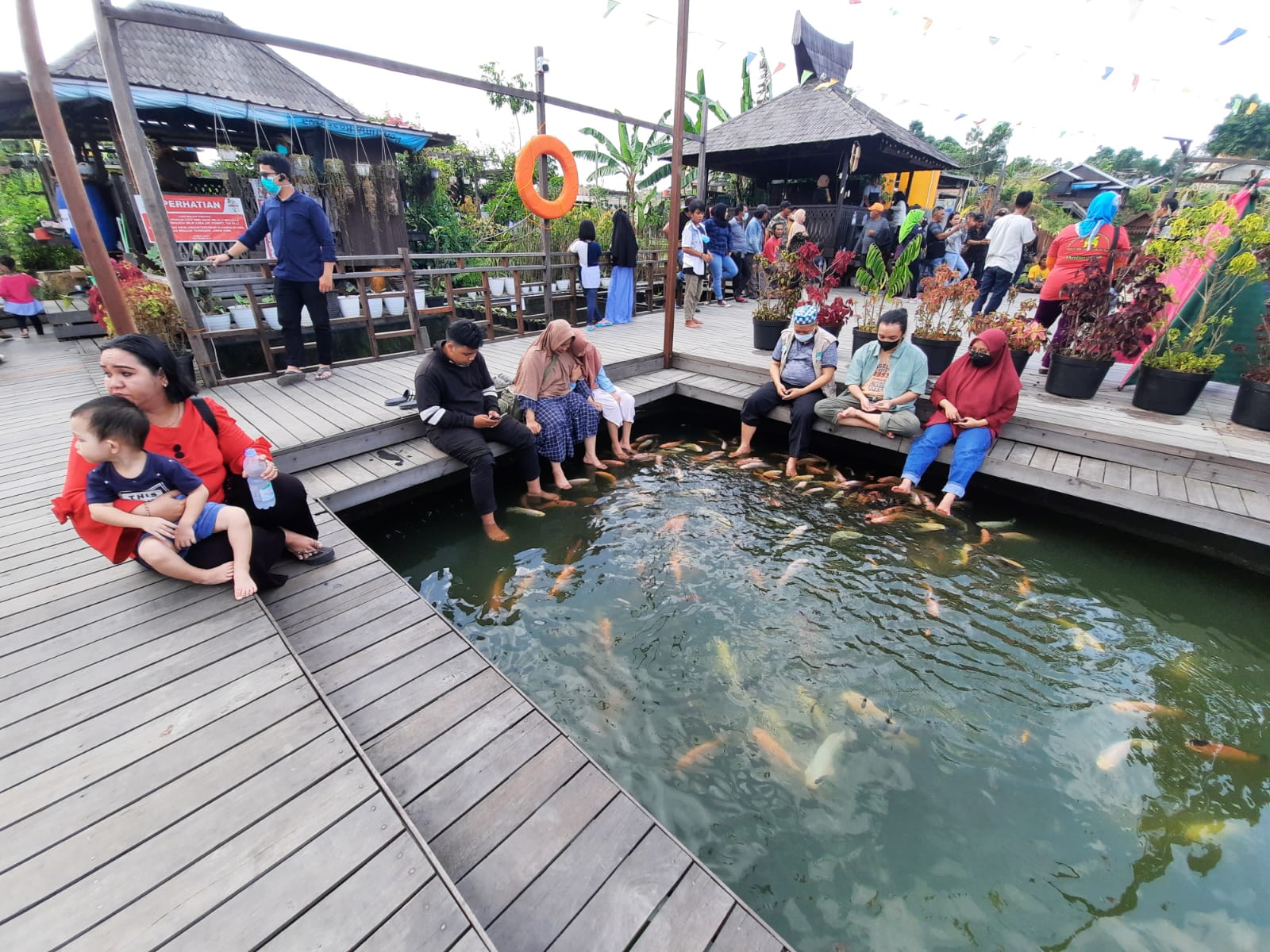 Terapi Kolam ikan di mini gardeen.