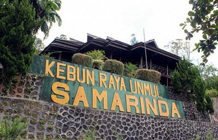 Kebun Raya Unmul Samarinda.