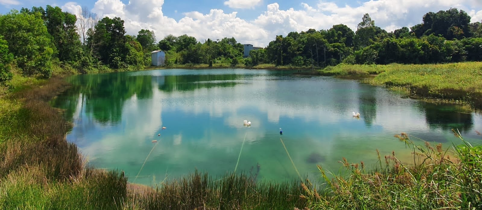 Foto Danau Cermin Lamaru Balikpapan dengan air jernih memantulkan pepohonan hijau, hidden gem cantik untuk wisata healing dan spot foto estetik.
