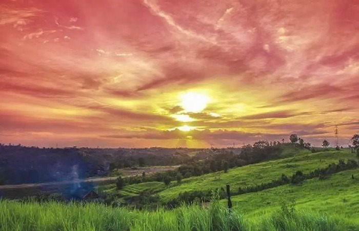 Foto Bukit Alpha Balikpapan memperlihatkan hamparan bukit hijau dengan ilalang yang luas, mirip dunia Teletubbies dan instagramable.