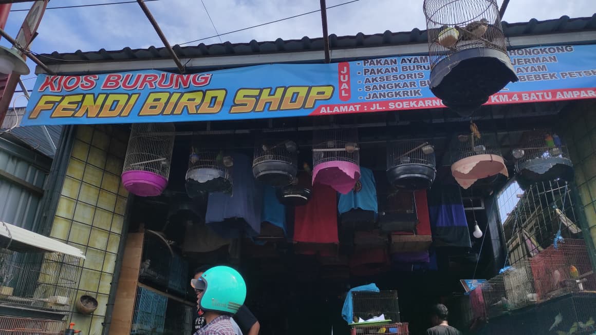 Kisah UMKM kios burung Farel di Balikpapan, hadir dengan burung, kelinci, hingga bebek peliharaan dengan harga terjangkau. Simak info selengkapnya disini Cess!