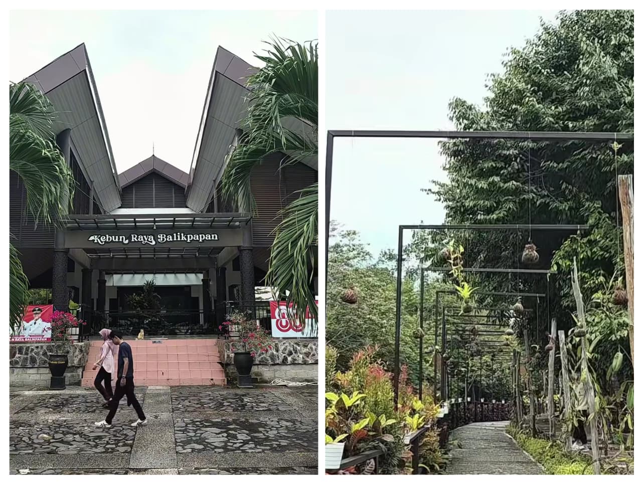 Suasana rindang dan sejuk di Kebun Raya Balikpapan, tempat wisata alam edukatif dengan koleksi anggrek khas Kalimantan yang menawan.