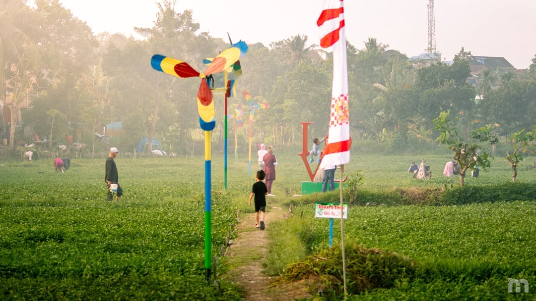 Suasana hijau di Desa Wisata Kang Bejo Balikpapan menampilkan area ladang kangkung, gazebo bambu, dan warga yang belajar bertani &mdash; destinasi edukatif yang penuh makna.