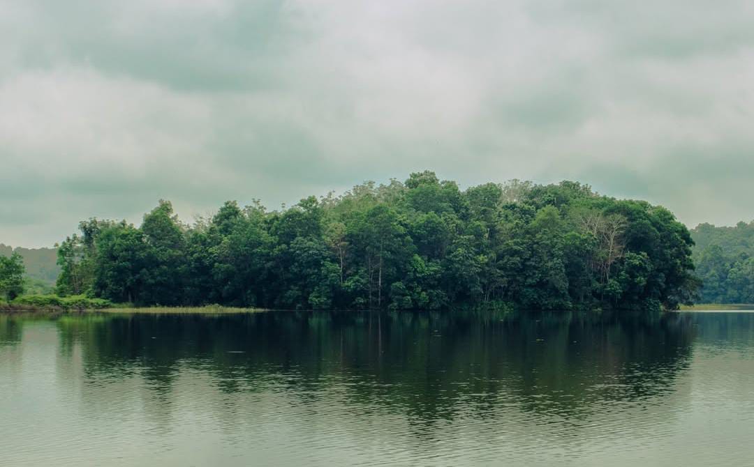 Panorama Wisata Bambu Wana Desa Balikpapan dengan pepohonan bambu rindang dan Waduk Manggar yang menawan, destinasi ekowisata asri nan menenangkan.