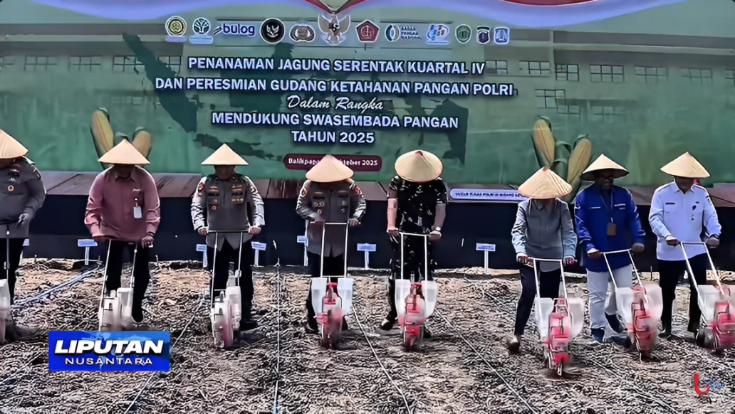 Petugas Polda Kaltim menanam jagung di lahan seluas 1,1 hektar milik Polsek Balikpapan Timur, Rabu (8 Oktober 2025).