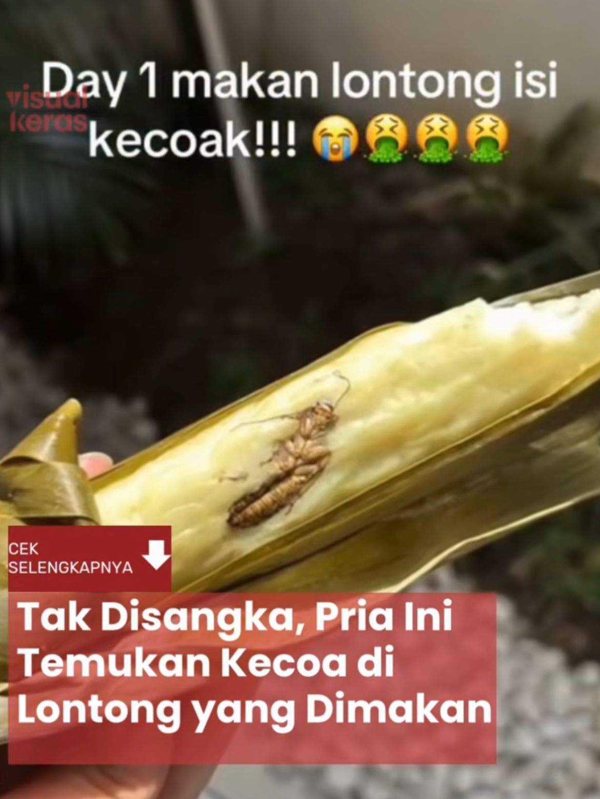 Kecoa di lontong bikin heboh! Kasus viral ini jadi pengingat penting soal kebersihan makanan. Simak info selengkapnya disini Cess!