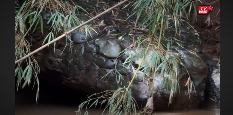 Formasi batu mirip kepala ular di tepi Sungai Kek Thailand yang viral, disebut &ldquo;batu ular raksasa&rdquo;, jadi bukti keajaiban alam dan legenda naga sungai.