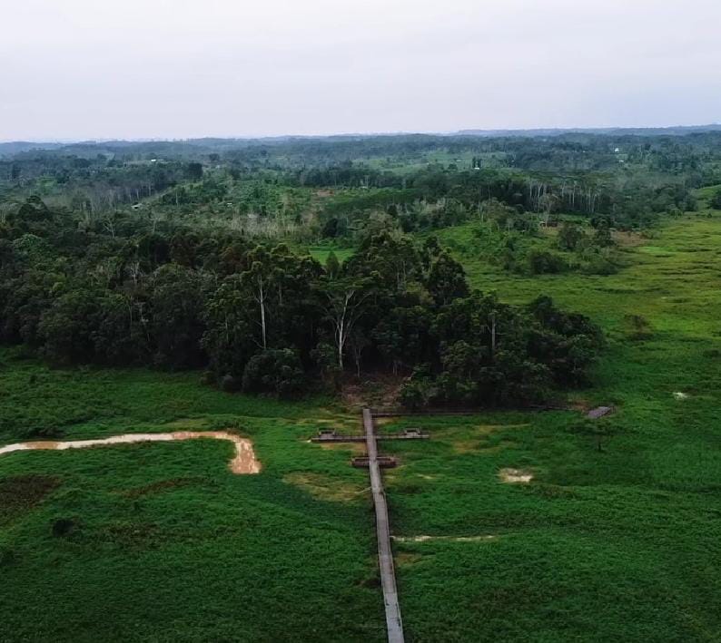 Foto kawasan wisata Meranti Etam Balikpapan dengan hamparan pepohonan meranti dan udara segar khas hutan lindung yang menenangkan.