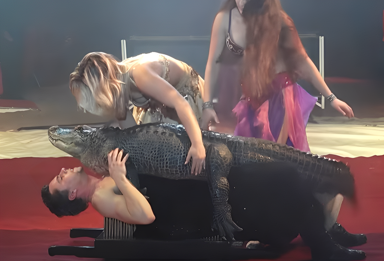 Bagaimana Pria Jerman Ini Bisa Akrab dengan Buaya?