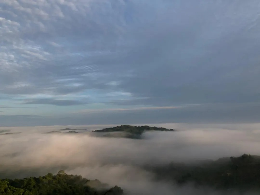 Panorama Bukit Biru Tenggarong &mdash; hijau pepohonan yang fmenghadirkan harmoni alam yang menenangkan.