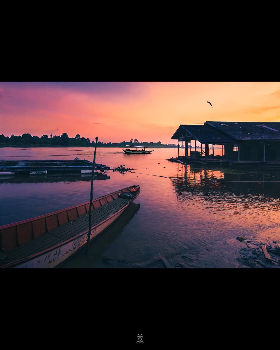 Pesut Mahakam muncul di perairan Desa Pela dengan latar perahu tradisional &mdash; potret hidup harmoni manusia dan alam.