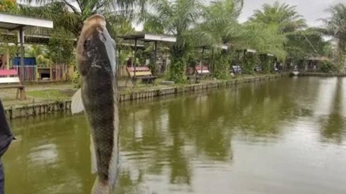 Pemancingan Sensasion Samarinda &mdash; suasana santai tepi kolam dengan gazebo dan kolam renang anak, cocok untuk keluarga.