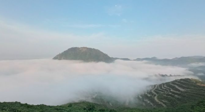 Kabut tebal menyelimuti puncak Gunung Boga di Paser &mdash; panorama pagi yang menenangkan dan memanjakan mata.