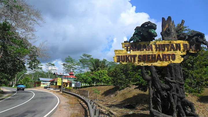 Jalan Bukit Soeharto dengan siluet pepohonan tinggi, menciptakan suasana misterius yang memikat mata.