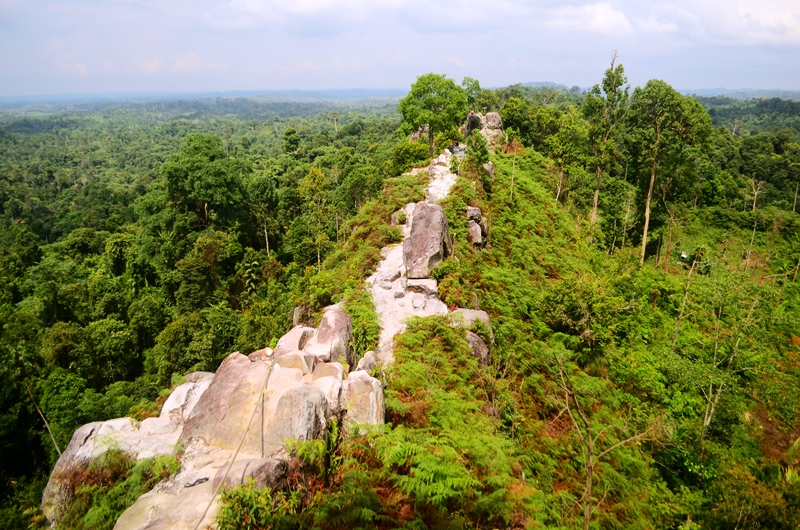 Batu Dinding Samboja menatap panorama hutan tropis Kalimantan Timur yang memukau.