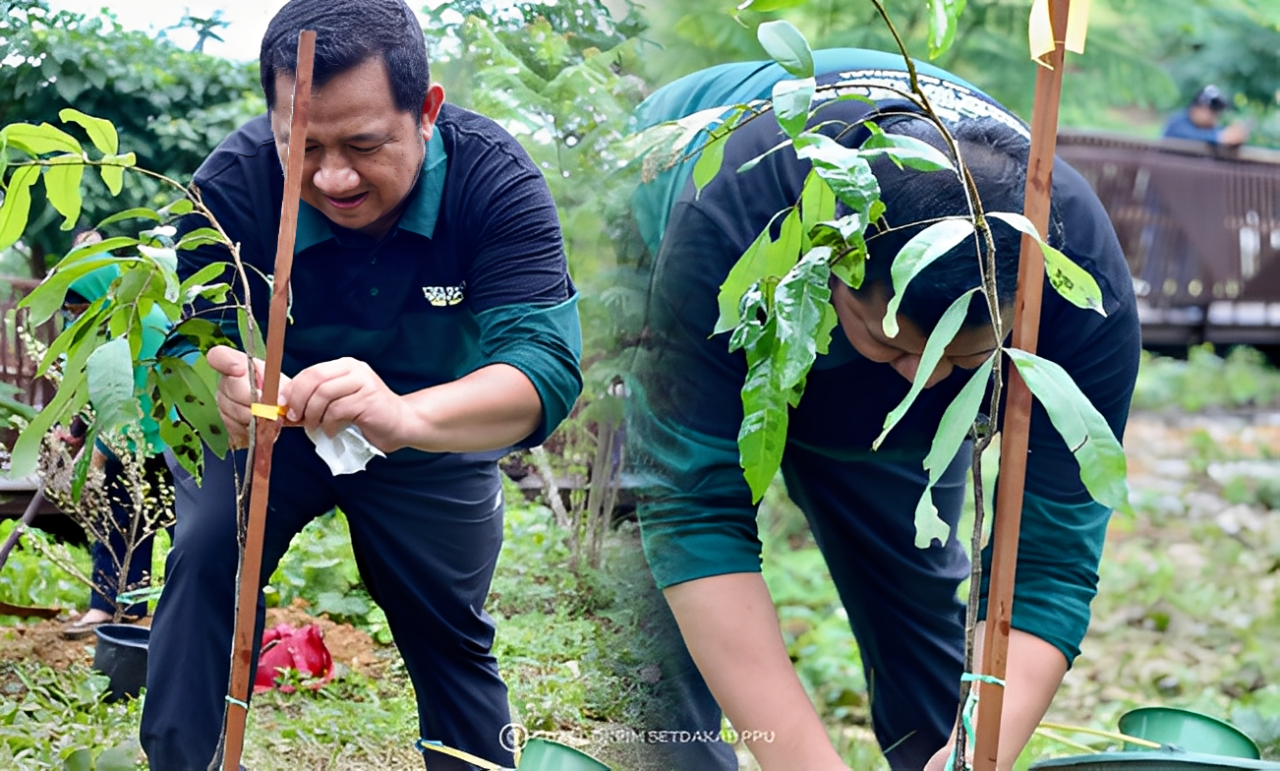 Bupati PPU Mudyat Noor menanam pohon di kawasan Ibu Kota Nusantara (IKN), Kecamatan Sepaku, Minggu (9 November 2025).