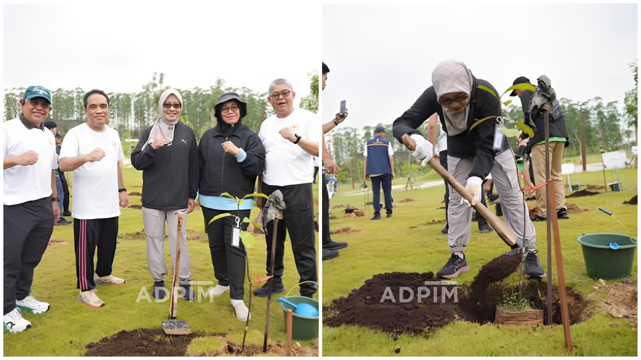 Sekda Kaltim Sri Wahyuni menanam pohon endemik di IKN, Selasa (11 November 2025).