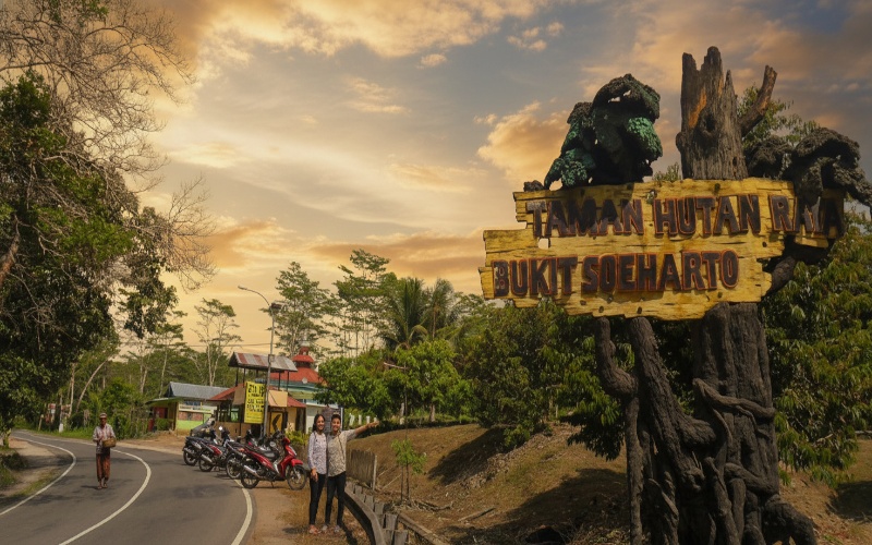 Taman Hutan Kota Samarinda hijau sejuk dengan jalur sepeda dan jogging&mdash;visual alami yang memancing rasa ingin berkunjung.