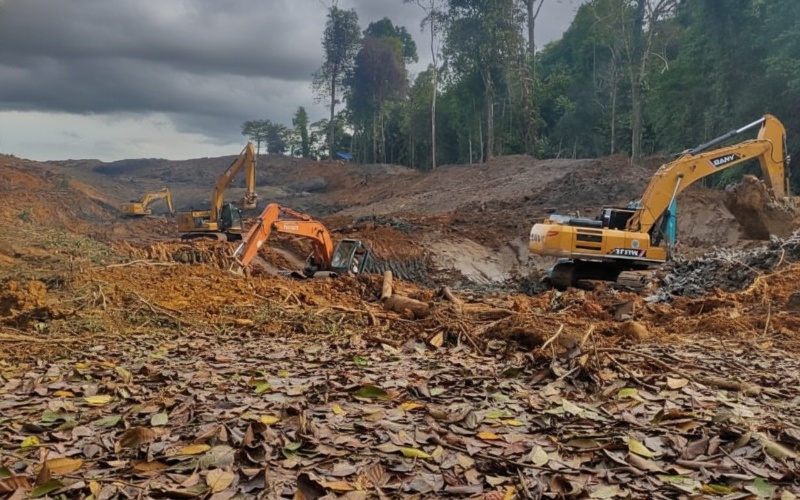 Kawasan KHDTK Unmul, hutan pendidikan dengan nuansa hijau Rusak dijarah penambang ilegal