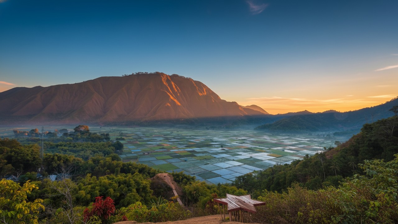 Panorama Bukit Selong Sembalun dengan sawah mozaik berwarna kontras&mdash;visual patchwork alami yang memanjakan mata.