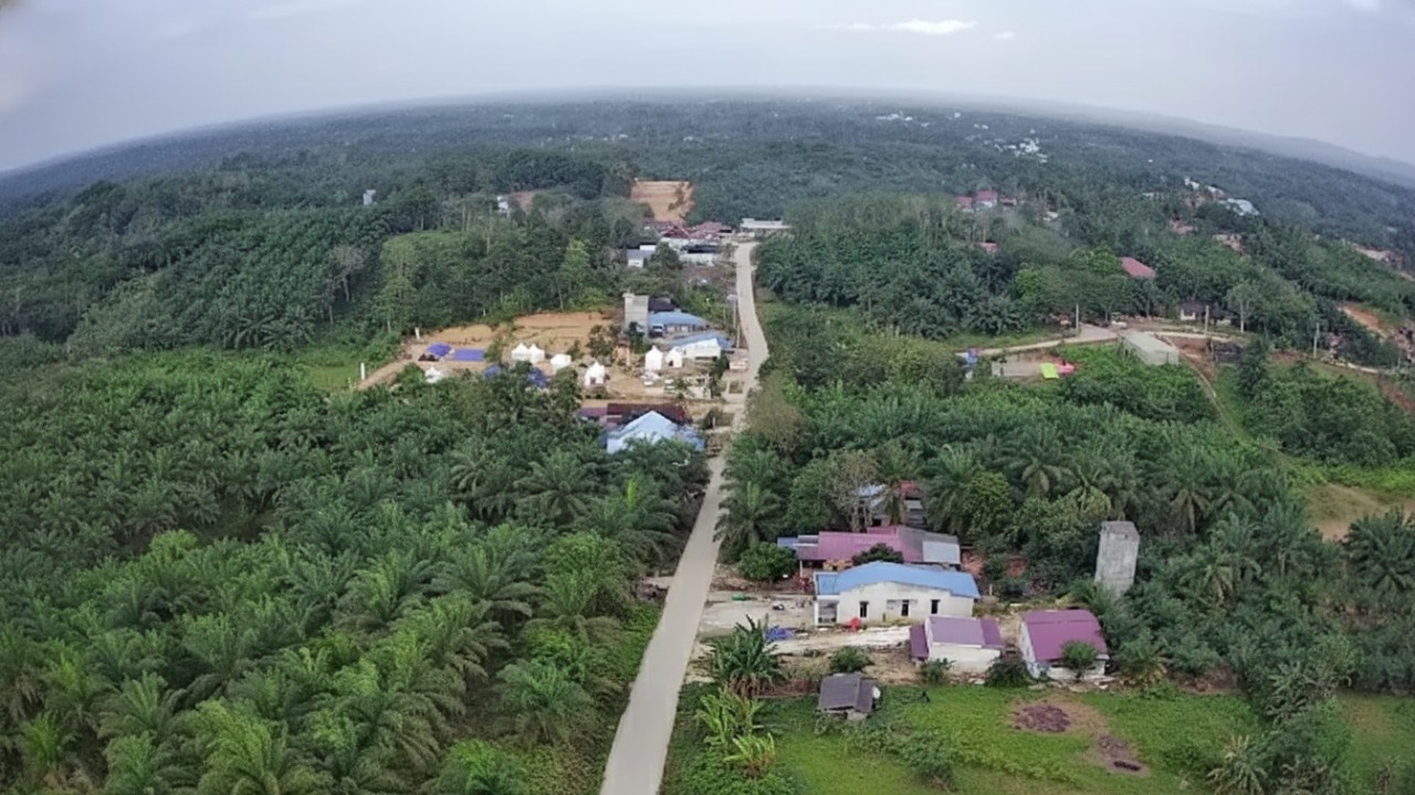 Panorama Bukit Abadi Sepaku dengan puncak hijau dan langit cerah&mdash;visual alami yang memikat mata.