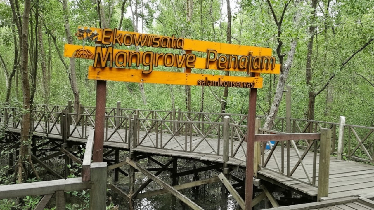 Jalur kayu Ekowisata Mangrove Kampung Baru dengan latar pohon bakau rindang, cocok untuk wisata alam dan edukasi.