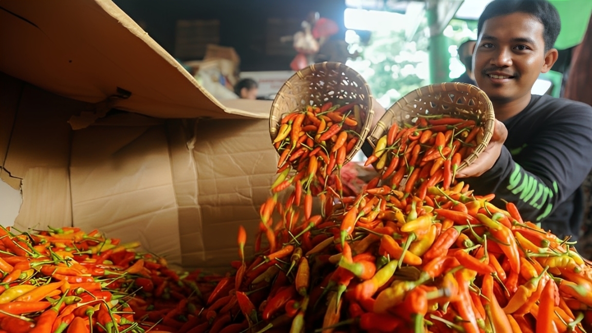 Seorang pedagang cabai di Pasar Merdeka Samarinda.