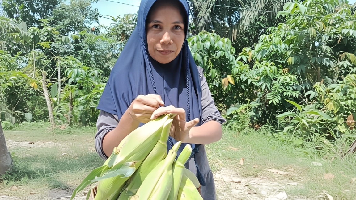 Ibu Mery, salah satu penjual jagung di kawasan KM 3,5 depan Gedung Biru Kaltim Post, Balikpapan, Rabu (31 Desember 2025).