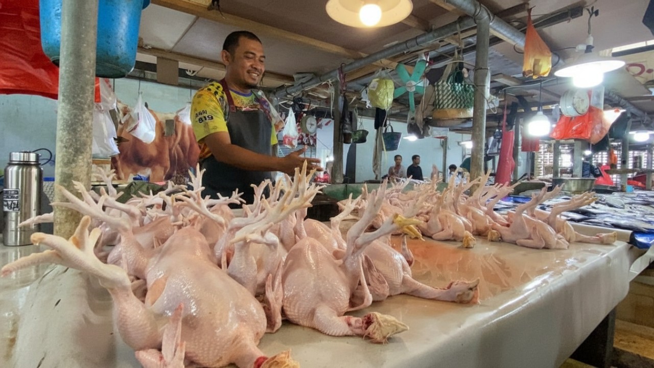 Suasana aktivitas belanja pagi di Pasar Klandasan Balikpapan dengan harga pangan yang terpantau stabil.