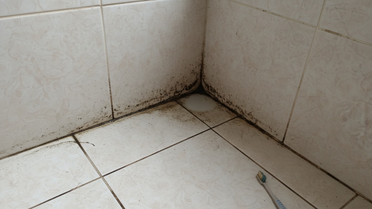kerak kerak yang membandel