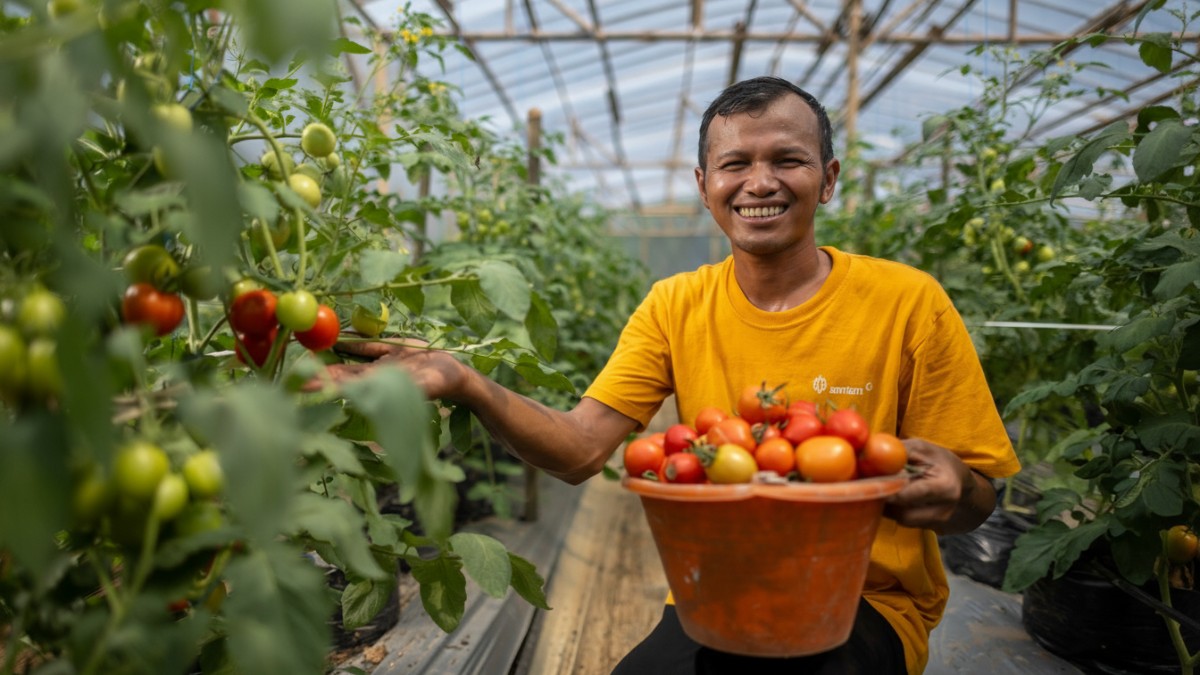 Wahyudin menunjukkan lahan pertanian di Desa Kalongliud, Kota Bogor, yang telah kembali ditanami.
