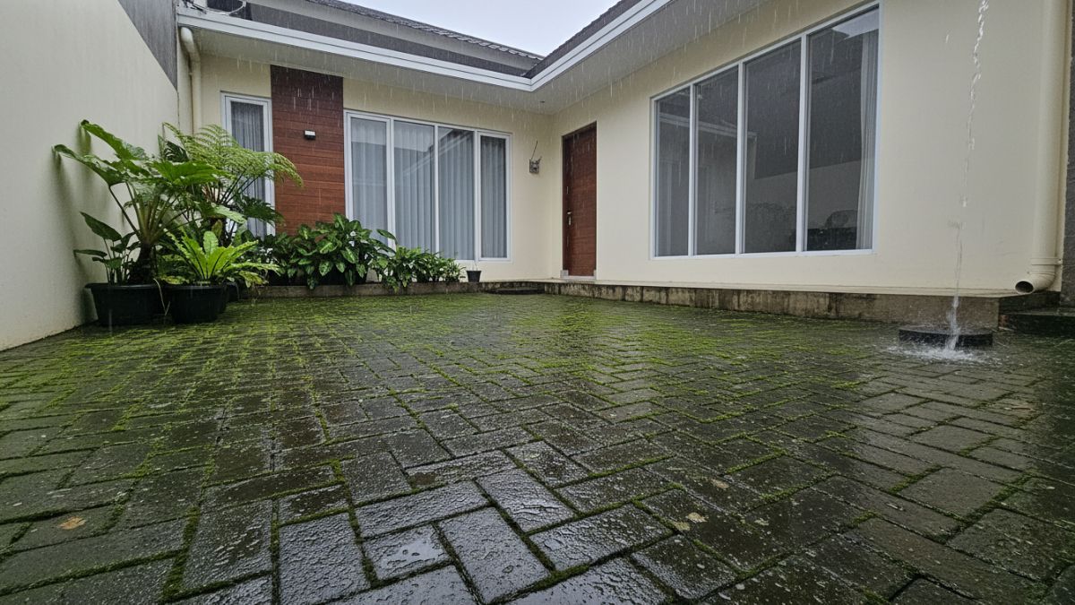 Permukaan paving block berlumut di halaman rumah tropis usai hujan deras.