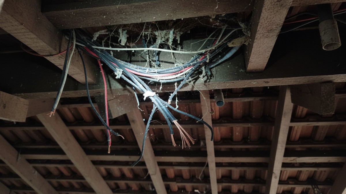 Contoh kabel listrik yang rusak akibat gigitan tikus di plafon.