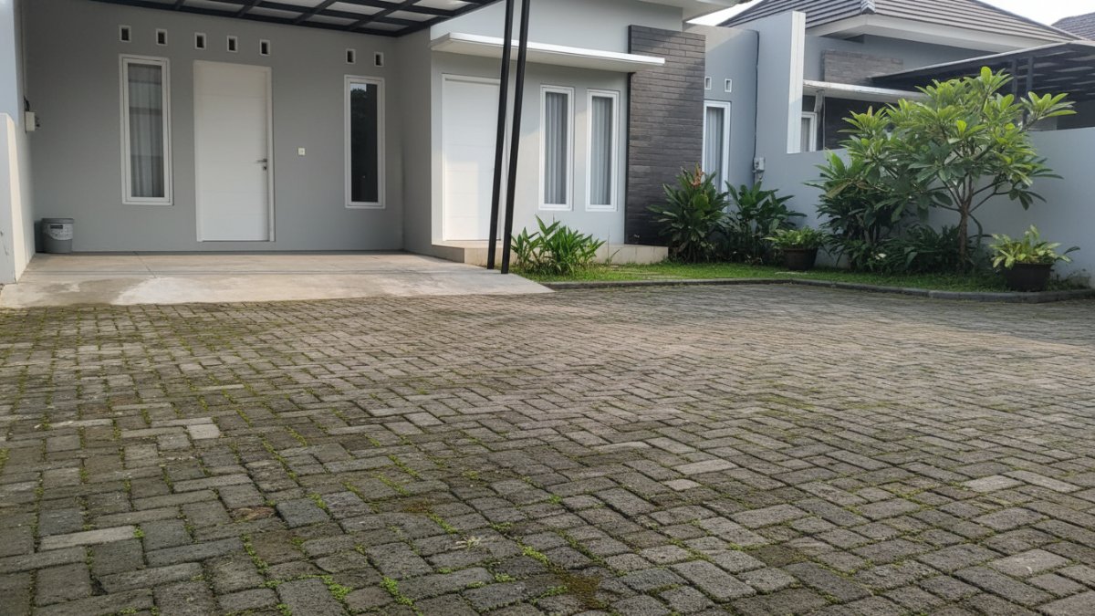 Close-up tekstur lumut tumbuh di pori-pori paving block.