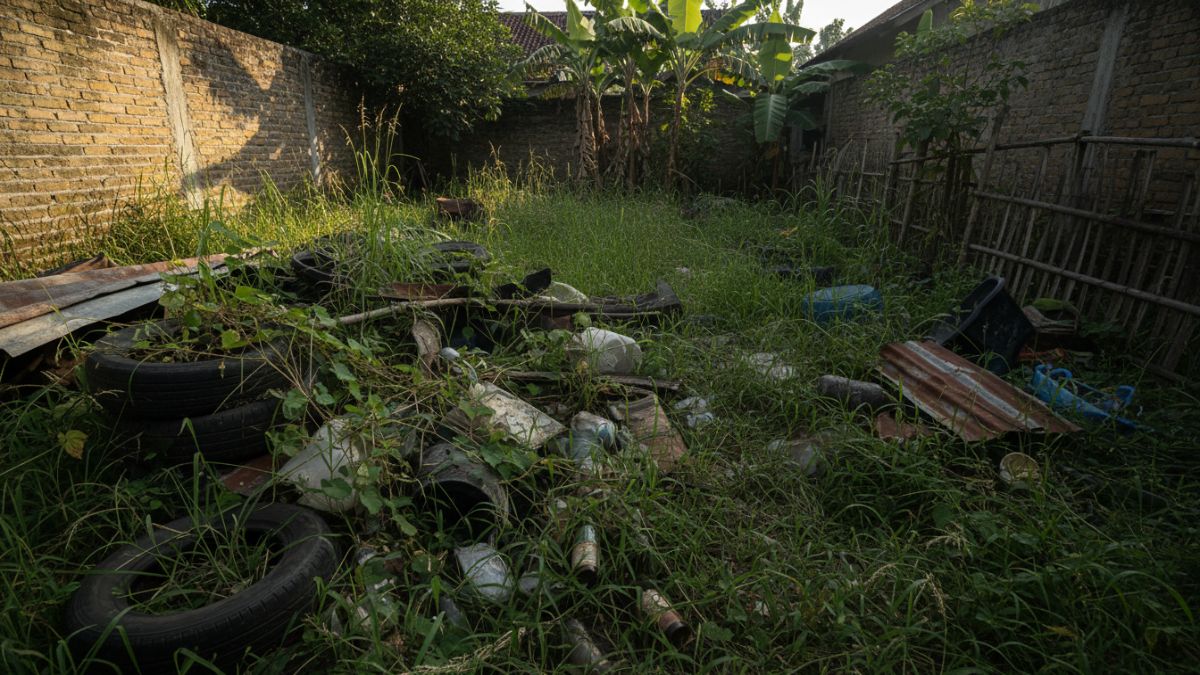 Rumput tinggi menutup tumpukan barang bekas di halaman rumah, meningkatkan potensi risiko ular.